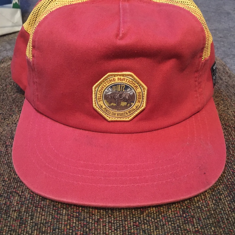 Yellowstone national park Hurley snap back